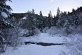 The river flows slowly in the forest after the blizzard Royalty Free Stock Photo
