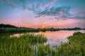 River forelands rhine