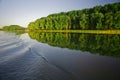 River and forest