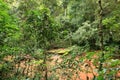 River in forest at Amboro national park. Bolivia Royalty Free Stock Photo