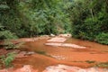 River in forest at Amboro national park. Bolivia Royalty Free Stock Photo