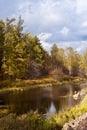 River and Forest in autumn Royalty Free Stock Photo