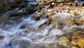 River in the forest. Autumn landscape. Water flows around the stones, visible green moss.