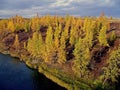 River and forest. Autumn on the Yamal Peninsula under