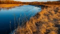 River forest and dry grass ashore in winter evening lighting, panoramic landscape in the countryside Royalty Free Stock Photo
