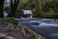 River in Forest Royalty Free Stock Photo