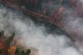 River and forest in the fog view from from the top Royalty Free Stock Photo