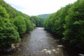 River and forest landscape