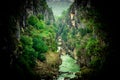 River and forest landscape. Mystical view from forest inside. Manavgat, Antalya, Turkey