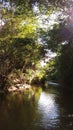 River in a Forest - Made In Brazil -