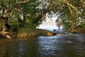 River in the forest morning fog at sunrise Royalty Free Stock Photo