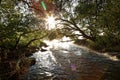 River in the forest morning fog at sunrise Royalty Free Stock Photo