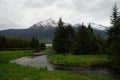 River, forest and mountains near Mendenhall Glacier, Alaska Royalty Free Stock Photo