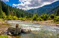 River among the forest in picturesque mountains in springtime Royalty Free Stock Photo