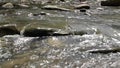 River In A Forest With Rocks - Close Up 3