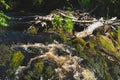 River in the forest. rocky watercourse. water flow. woodland creek. brook on a summer day Royalty Free Stock Photo