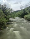 river in the forest sout of Borneo