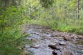 River in forest in summer. big braid river in the national Park Taganay. Royalty Free Stock Photo