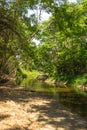 River in forest and sunlight through leaves ratchaburi thailand Royalty Free Stock Photo