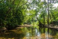 River in forest and sunlight through leaves ratchaburi thailand Royalty Free Stock Photo