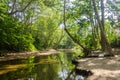 River in forest and sunlight through leaves ratchaburi thailand