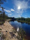 River in the forest at the sunny day