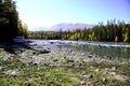 River beside forest Royalty Free Stock Photo