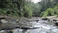 River In A Forest - Tilt - Top To Bottom