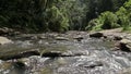 River In A Forest - Tilt - Top To Bottom 2