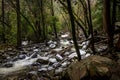 River at forest during winter - Yosemite National Park, California, USA Royalty Free Stock Photo