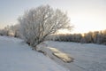 The river freezes. Royalty Free Stock Photo