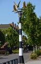 River Front Park at the Willamette River in Downtown Corvallis, Oregon Royalty Free Stock Photo