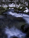 River in frozen forest Royalty Free Stock Photo
