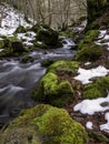 River in frozen forest Royalty Free Stock Photo