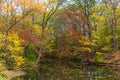 River full of fallen leave during fall foliage in New England Royalty Free Stock Photo