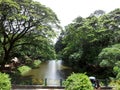 River and full vegetation in Eco Park Manila Quezon City Royalty Free Stock Photo