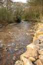 River Gelt, Cumbria Royalty Free Stock Photo