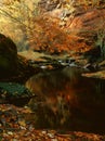 River Gelt, sandstone cliffs, Cumbria