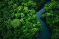 A river gently flows through a lush green forest, surrounded by vibrant foliage and trees, A small river twisting and turning Royalty Free Stock Photo