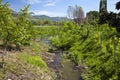 The river goes through the orchard. Photos