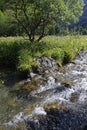 A river goes throught a beautiful landscape