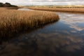 River with golden color grass at princetown wetland Royalty Free Stock Photo