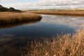 River with golden color grass at princetown wetland Royalty Free Stock Photo