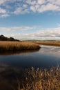 River with golden color grass at princetown wetland Royalty Free Stock Photo