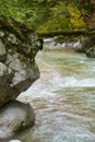 River in a gorge Royalty Free Stock Photo