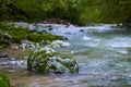 River in a gorge Royalty Free Stock Photo