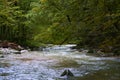 River in a gorge Royalty Free Stock Photo