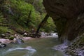 River in a gorge Royalty Free Stock Photo