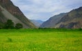 River gorge in the mountains Chulyshman