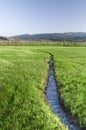 River in grass field